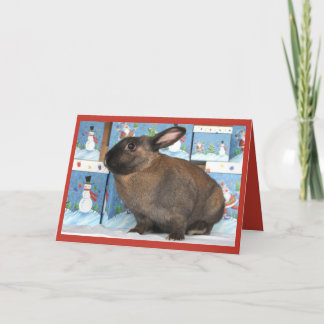 Bunny Rabbit Jul med Snögubbe Helgdag Boxes Helgkort