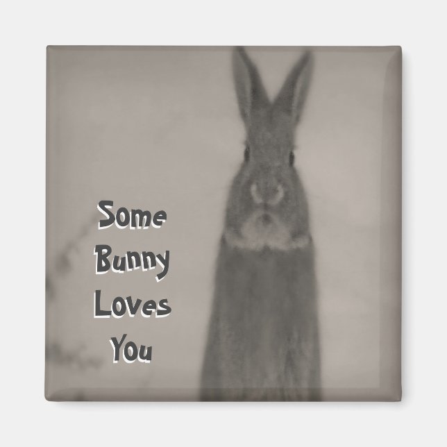 Bunny Rabbit Magnet (Framsidan)