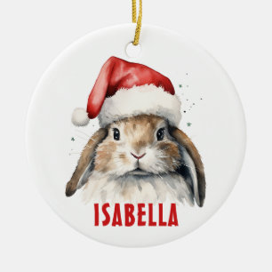 Bunny Rabbit Personlig Ornament