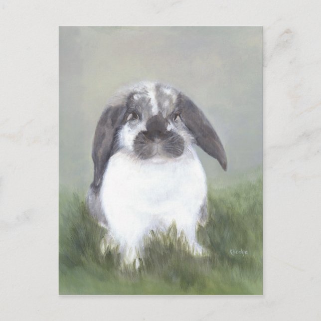 Bunny Rabbit Postcard Vykort (Framsida)