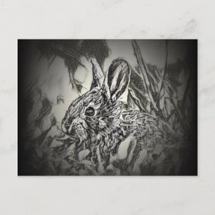 Bunny Rabbit Postcard - Yard Critters Vykort