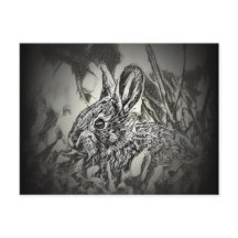 Bunny Rabbit Postcard - Yard Critters