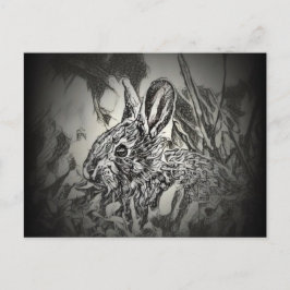 Bunny Rabbit Postcard - Yard Critters Vykort