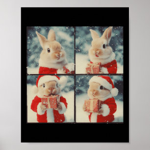 Bunny Rabbit Santa Animal Photography God Ra Poster