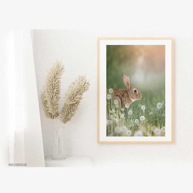 Bunny Rabbit Sitta i Dandelion Fält Girls Room Fototryck (Skapare uppladdad)
