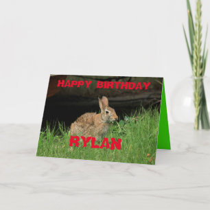 Bunny Rabbit sköt Closeup med gräs Greeting Card Kort