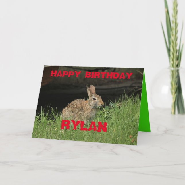 Bunny Rabbit sköt Closeup med gräs Greeting Card Kort (Framsida)