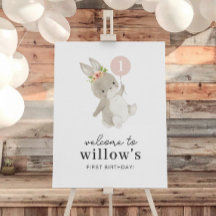Bunny Rosa Balloon 1:a födelsedag Välkomstskylt