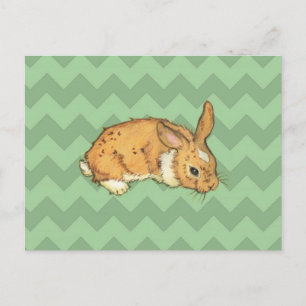 Bunny Sage Chevron Duo Vykort