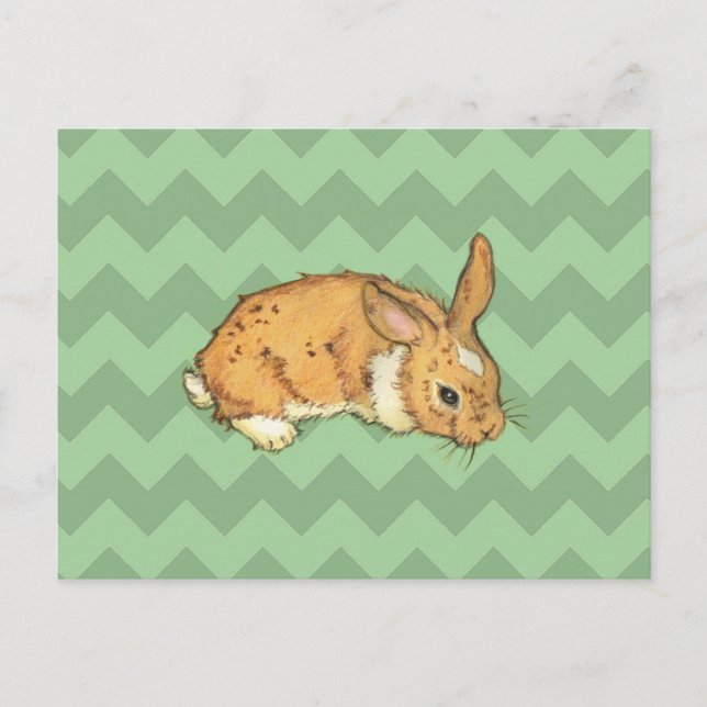 Bunny Sage Chevron Duo Vykort (Framsida)