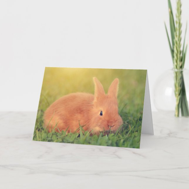 Bunny Says Hi Kort (Framsida)