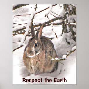 Bunny Seeking Shelter Earth Day Poster