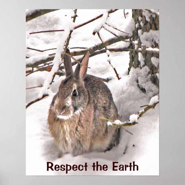 Bunny Seeking Shelter Earth Day Poster (Framsidan)