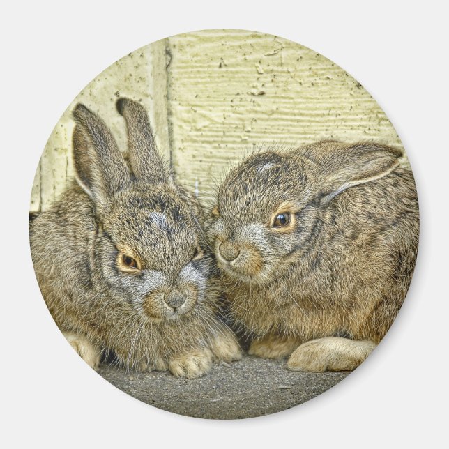 Bunny Spädbarn (Vild) Magnet (Framsidan)