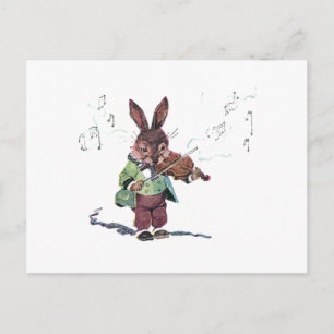 Bunny Spela Violin Vykort