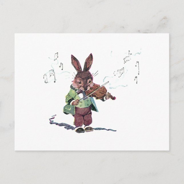 Bunny Spela Violin Vykort (Framsida)