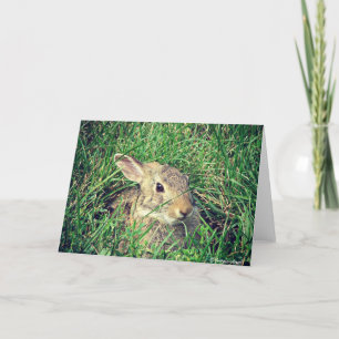 Bunny Tillfällen Kort