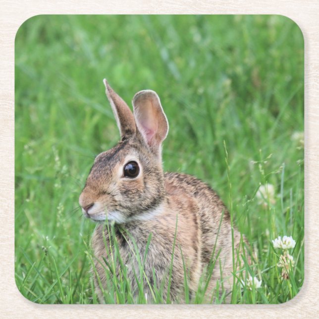 Bunny Underlägg Papper Kvadrat (Framsidan)