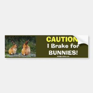 BUNNY Vild Rabbit Collection Bildekal