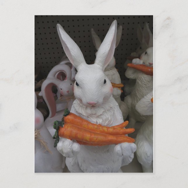 Bunny With Carrot Vykort (Framsida)