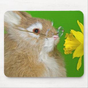 Bunny with Daffodil Musmatta