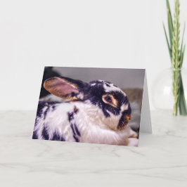 BunnyLuv hälsningkort som presenterar femma Kort