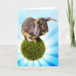 BunnyLuv hälsningkort som presenterar Twink Kort