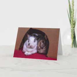BunnyLuv valentin kort för dag (från honom)