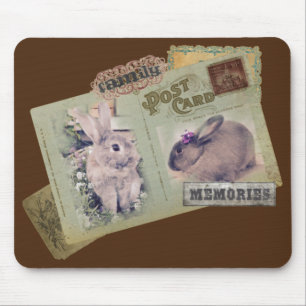Bunnyminnen Musmatta