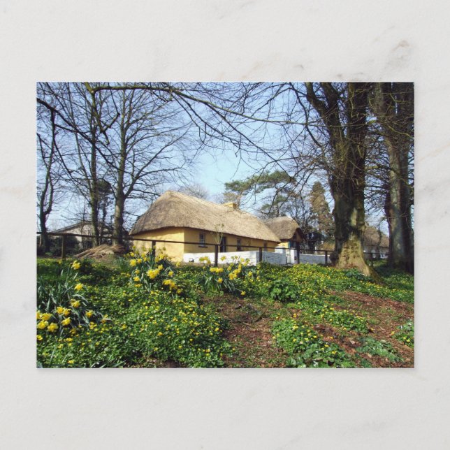 Bunratty Folk Park-stugan Vykort (Framsida)