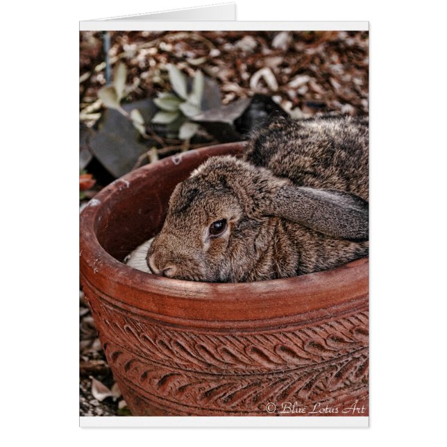 bunt hälsningskort (Framsidan)