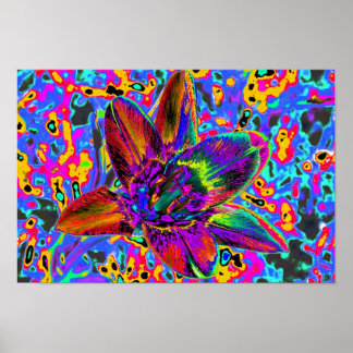 Bunte Blume Poster