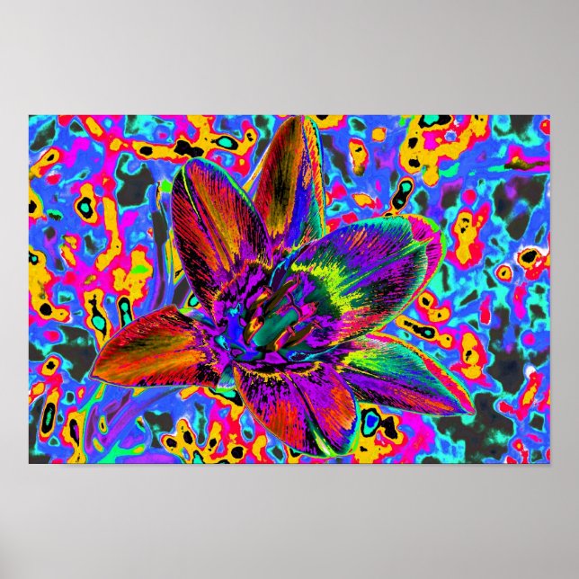 Bunte Blume Poster (Framsidan)