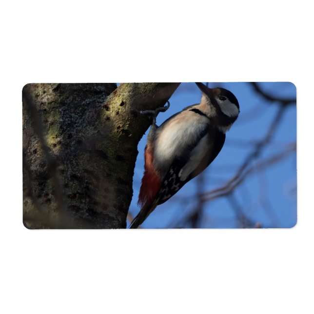 Buntspecht Fraktsedel (Framsidan)