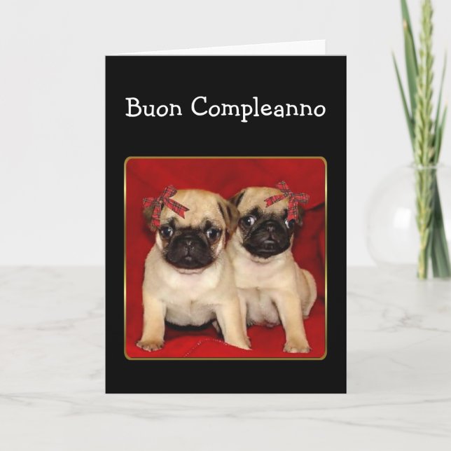 Buon CompleteBirthday Pugs-hälsningskort Kort (Framsida)