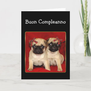 Buon CompleteBirthday Pugs-hälsningskort Kort