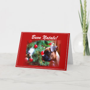 Buon Natale Boxer-hälsningskort för valpar Helgkort