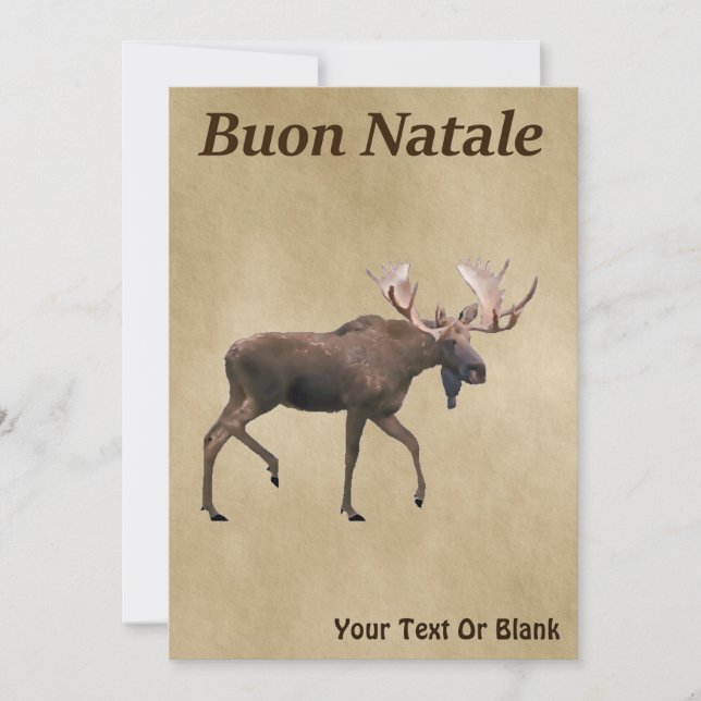 Buon Natale - Bull Moose on Old Papper (Framsida)