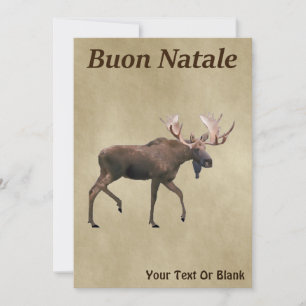 Buon Natale - Bull Moose on Old Papper