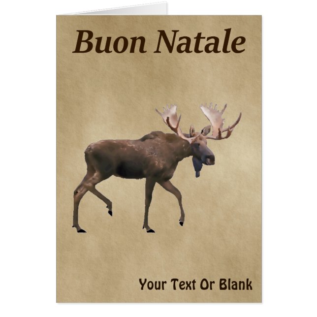 Buon Natale - Bull Moose on Old Papper Hälsningskort (Framsidan)