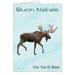 Buon Natale - Bull Moose vid Snö Hälsningskort