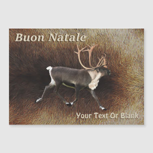 Buon Natale - Bull Västindiou (Reindeer)