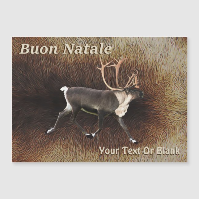 Buon Natale - Bull Västindiou (Reindeer) (Framsida)