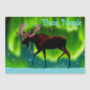Buon Natale - norra Ljus Moose