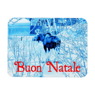 Buon Natale - Urban Moose Magnet