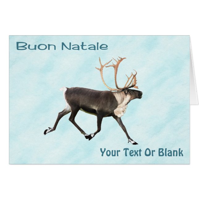 Buon Natale - Västindiou (renare) på Snö Hälsningskort (Framsidan Horizontal)