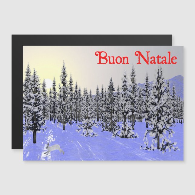 Buon Natale - Winter Solstice (Fram/baksida)
