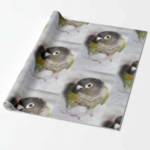 Burbel Presentpapper