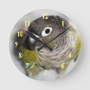 Burbel Rund Klocka