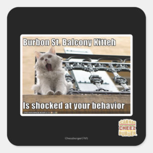 Burbon St. Balcony Kitteh Fyrkantigt Klistermärke